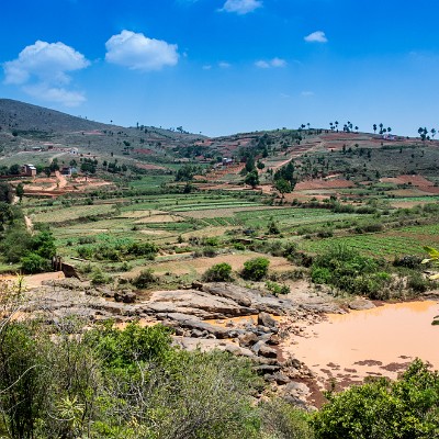 madagascar-1 null