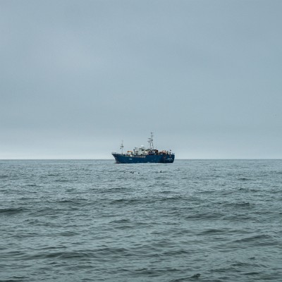 kamchatka-8 null