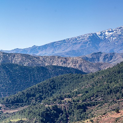 maroc-167 null