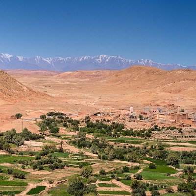 maroc-209 null