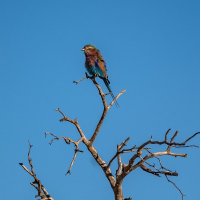 namibia-13 null