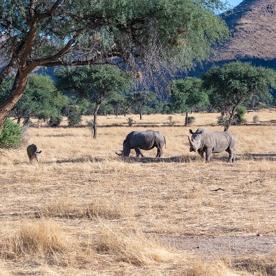 namibia-15 null