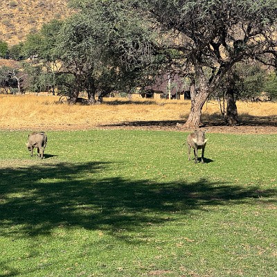 namibia-4 null