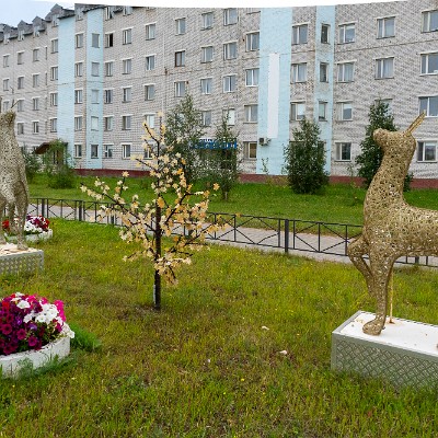 now_zemlya-12 null